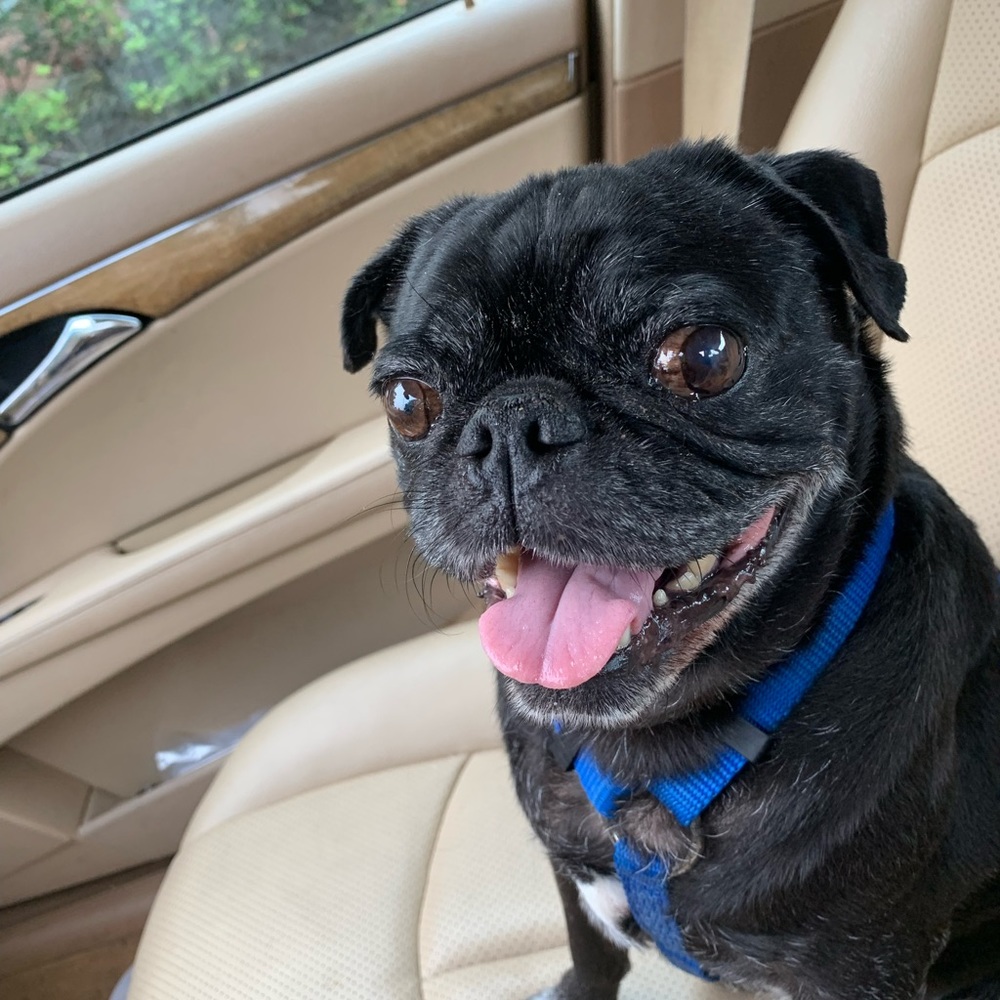 Meet your Posher, Lasonya